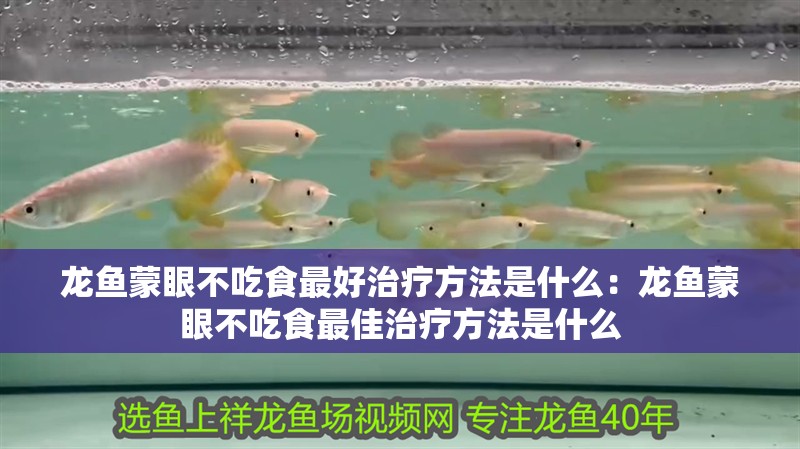 龍魚蒙眼不吃食最好治療方法是什么：龍魚蒙眼不吃食最佳治療方法是什么