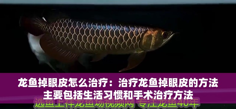 龍魚(yú)掉眼皮怎么治療：治療龍魚(yú)掉眼皮的方法主要包括生活習(xí)慣和手術(shù)治療方法