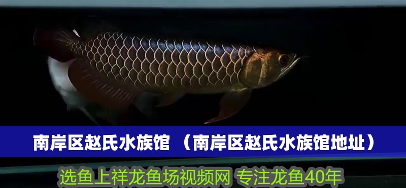 南岸區趙氏水族館 （南岸區趙氏水族館地址）