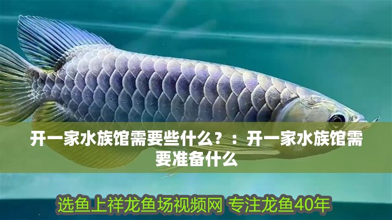 開一家水族館需要些什么？：開一家水族館需要準(zhǔn)備什么