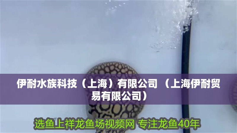 伊耐水族科技（上海）有限公司 （上海伊耐貿(mào)易有限公司） 伊耐水族科技（上海）有限公司 （上海伊耐貿(mào)易有限公司） 全國水族館企業(yè)名錄