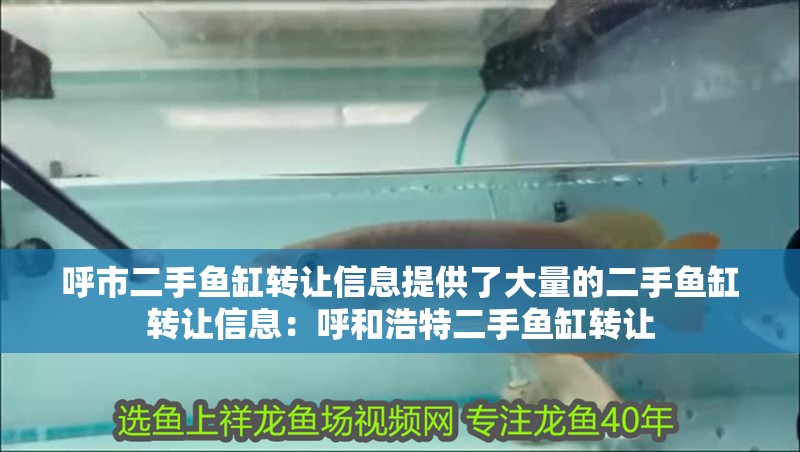 呼市二手魚缸轉讓信息提供了大量的二手魚缸轉讓信息：呼和浩特二手魚缸轉讓