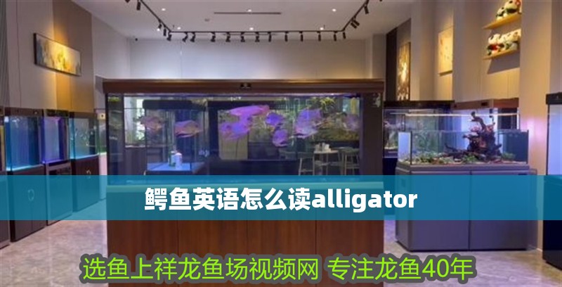 鱷魚英語怎么讀alligator