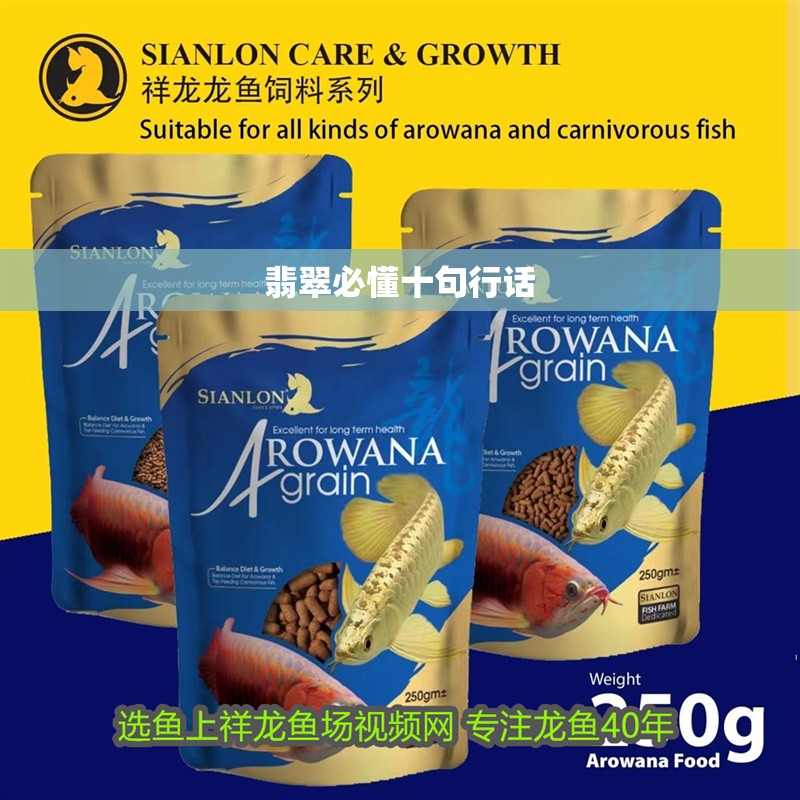 翡翠必懂十句行話