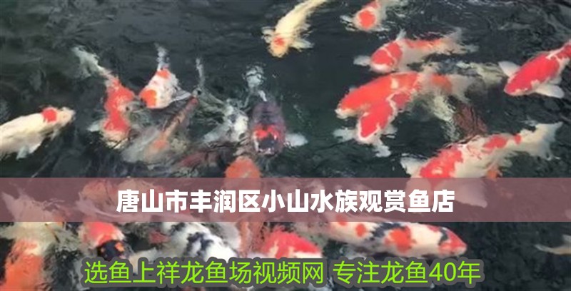 唐山市豐潤區小山水族觀賞魚店