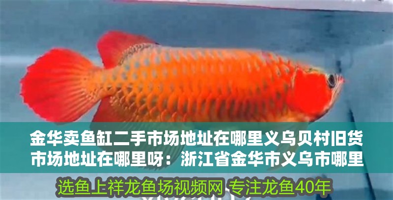 金華賣魚缸二手市場地址在哪里義烏貝村舊貨市場地址在哪里呀：<strong><mark>浙江</mark></strong>省金華市義烏市哪里有二手家具市場？