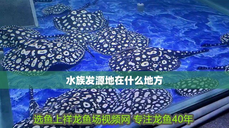 水族發源地在什么地方