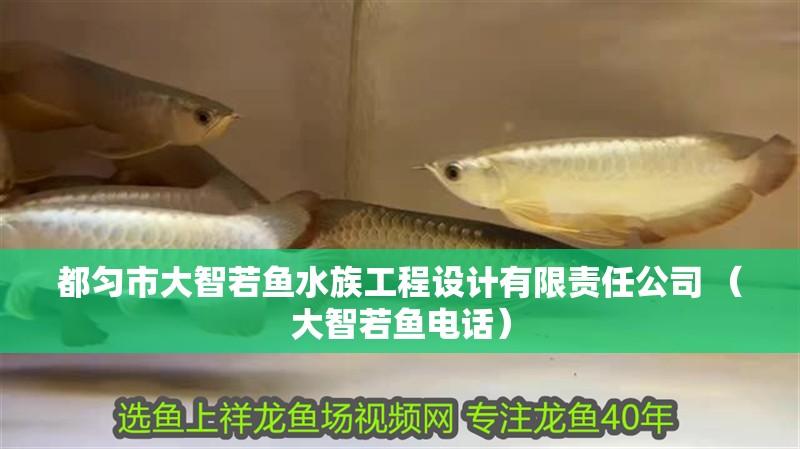 都勻市大智若魚水族工程設計有限責任公司 （大智若魚電話）