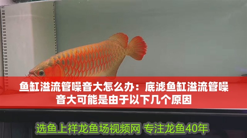 魚缸溢流管噪音大怎么辦：底濾魚缸溢流管噪音大可能是由于以下幾個原因