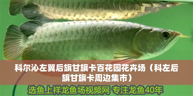 科爾沁左翼后旗甘旗卡百花園花卉場(chǎng)（科左后旗甘旗卡周邊集市）