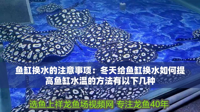魚缸換水的注意事項：冬天給魚缸換水如何提高魚缸水溫的方法有以下幾種