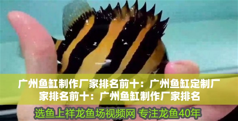 廣州魚缸制作廠家排名前十：廣州魚缸定制廠家排名前十：廣州魚缸制作廠家排名
