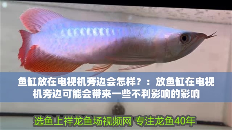魚缸放在電視機旁邊會怎樣？：放魚缸在電視機旁邊可能會帶來一些不利影響的影響