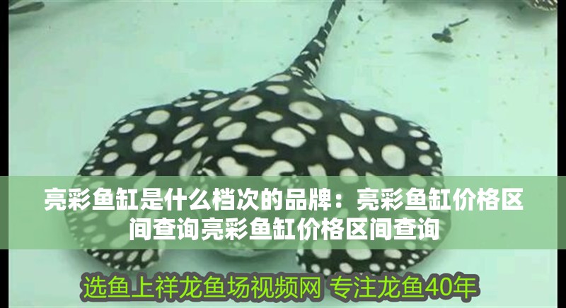 亮彩魚缸是什么檔次的品牌：亮彩魚缸價格區間查詢亮彩魚缸價格區間查詢