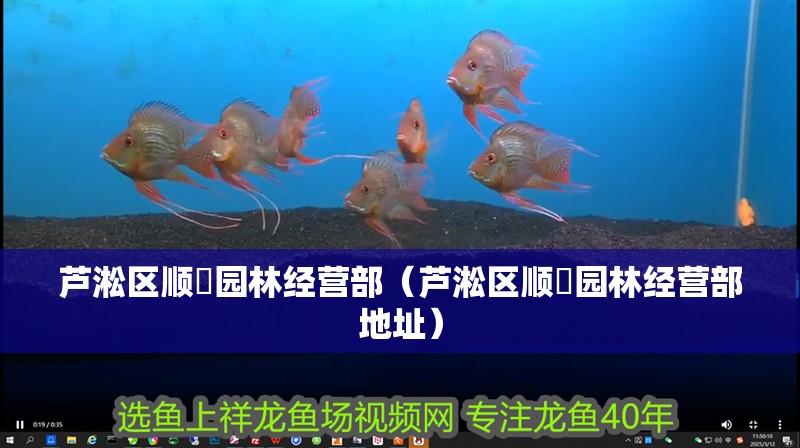 蘆淞區(qū)順璟園林經(jīng)營部（蘆淞區(qū)順璟園林經(jīng)營部地址）