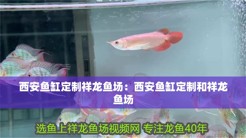西安魚缸定制祥龍魚場：西安魚缸定制和祥龍魚場