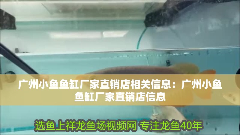 廣州小魚魚缸廠家直銷店相關信息：廣州小魚魚缸廠家直銷店信息