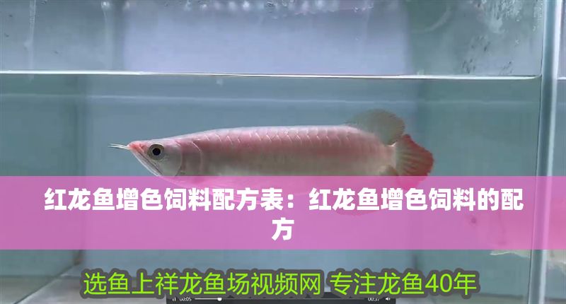 紅龍魚增色飼料配方表：紅龍魚增色飼料的配方