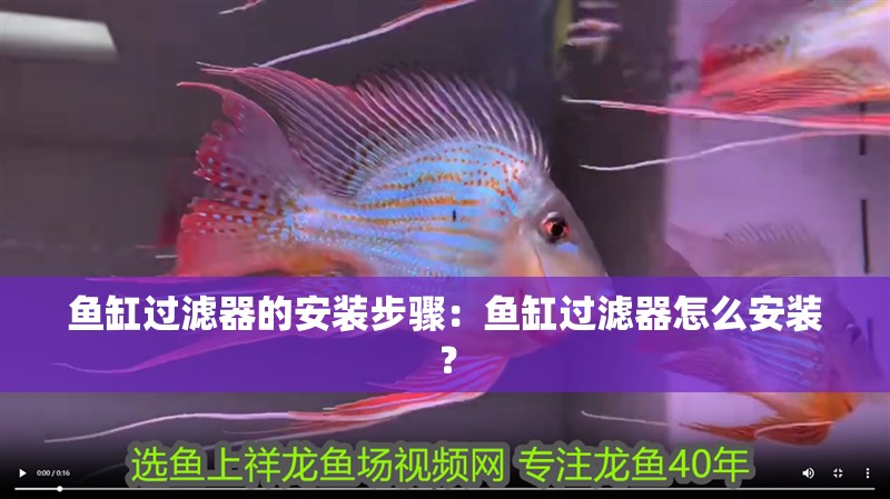 魚缸過濾器的安裝步驟：魚缸過濾器怎么安裝？