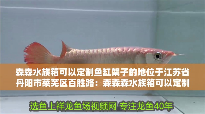 森森水族箱可以定制魚缸架子的地位于江蘇省丹陽市萊蕪區百勝路：森森森水族箱可以定制魚缸架子的地位于江蘇省丹陽市開發區百勝路