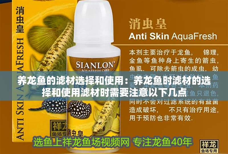 養(yǎng)龍魚的濾材選擇和使用：養(yǎng)龍魚時濾材的選擇和使用濾材時需要注意以下幾點