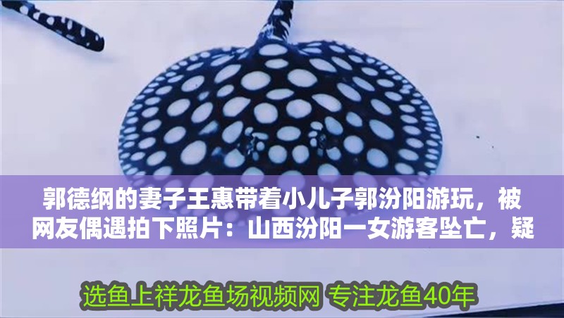 郭德綱的妻子王惠帶著小兒子郭汾陽游玩，被網友偶遇拍下照片：山西汾陽一女游客墜亡，疑似有人在哭喊“媽”，臨縣人聰明但過于狡猾
