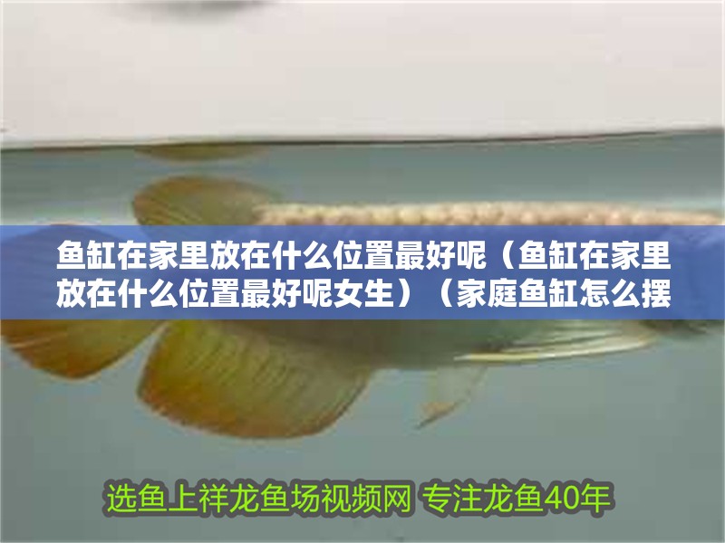 魚缸在家里放在什么位置最好呢（魚缸在家里放在什么位置最好呢女生）（家庭魚缸怎么擺放好）