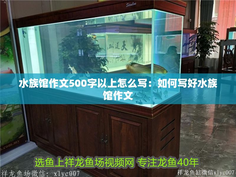 水族館作文500字以上怎么寫：如何寫好水族館作文