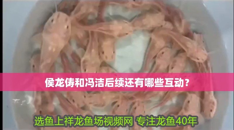 侯龍儔和馮潔后續還有哪些互動？