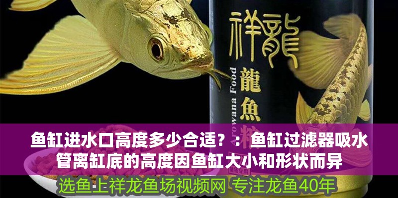 魚缸進水口高度多少合適？：魚缸過濾器吸水管離缸底的高度因魚缸大小和形狀而異 魚缸進水口高度多少合適？：魚缸過濾器吸水管離缸底的高度因魚缸大小和形狀而異 魚缸百科
