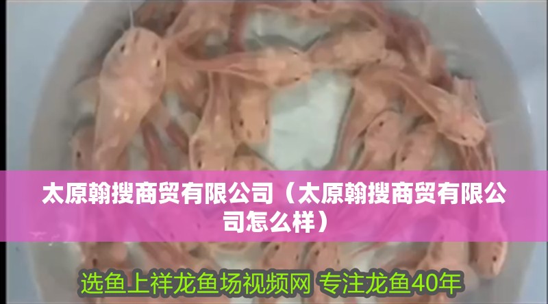 太原翰搜商貿有限公司（太原翰搜商貿有限公司怎么樣）