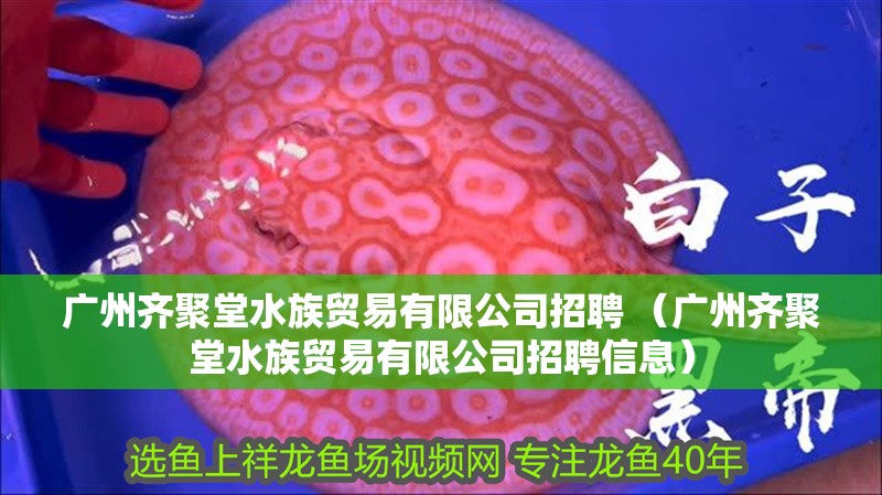 廣州齊聚堂水族貿易有限公司招聘 （廣州齊聚堂水族貿易有限公司招聘信息）