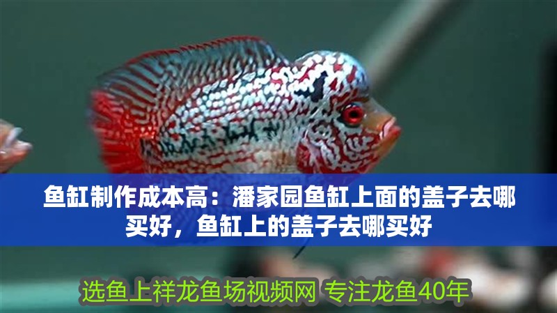 魚缸制作成本高：潘家園魚缸上面的蓋子去哪買好，魚缸上的蓋子去哪買好