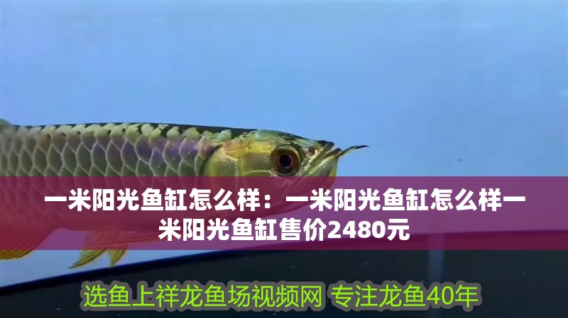 一米陽光魚缸怎么樣：一米陽光魚缸怎么樣一米陽光魚缸售價2480元