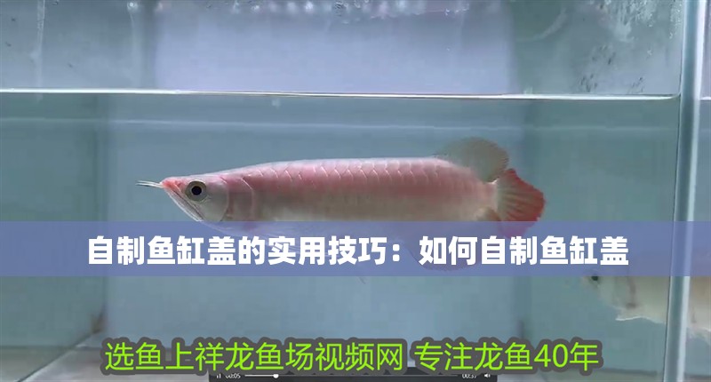 自制魚缸蓋的實用技巧：如何自制魚缸蓋