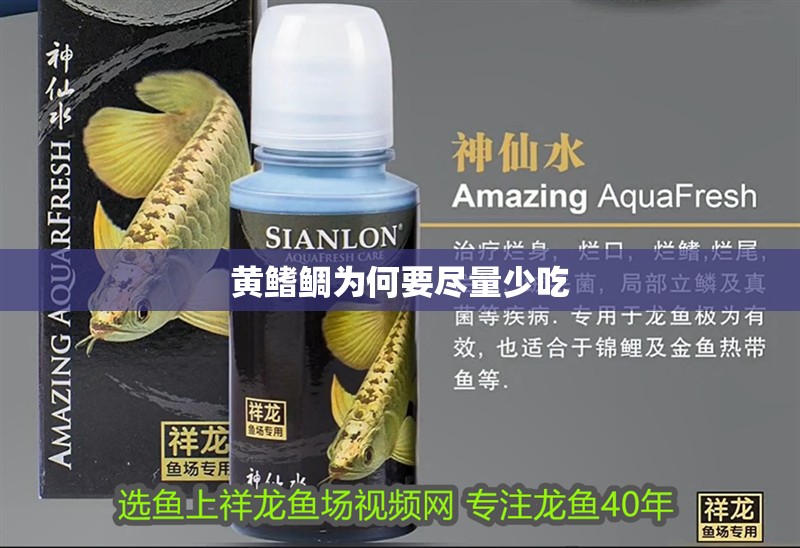 黃鰭鯛為何要盡量少吃