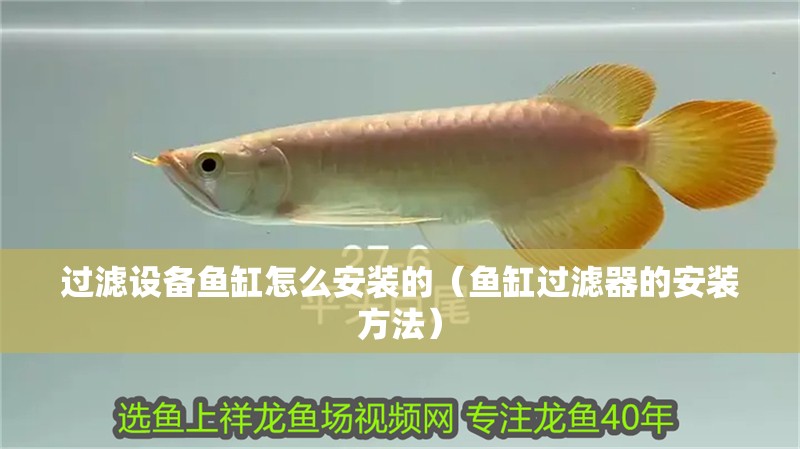 過(guò)濾設(shè)備魚(yú)缸怎么安裝的（魚(yú)缸過(guò)濾器的安裝方法）