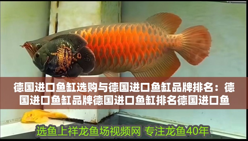 德國(guó)進(jìn)口魚(yú)缸選購(gòu)與德國(guó)進(jìn)口魚(yú)缸品牌排名：德國(guó)進(jìn)口魚(yú)缸品牌德國(guó)進(jìn)口魚(yú)缸排名德國(guó)進(jìn)口魚(yú)缸排名