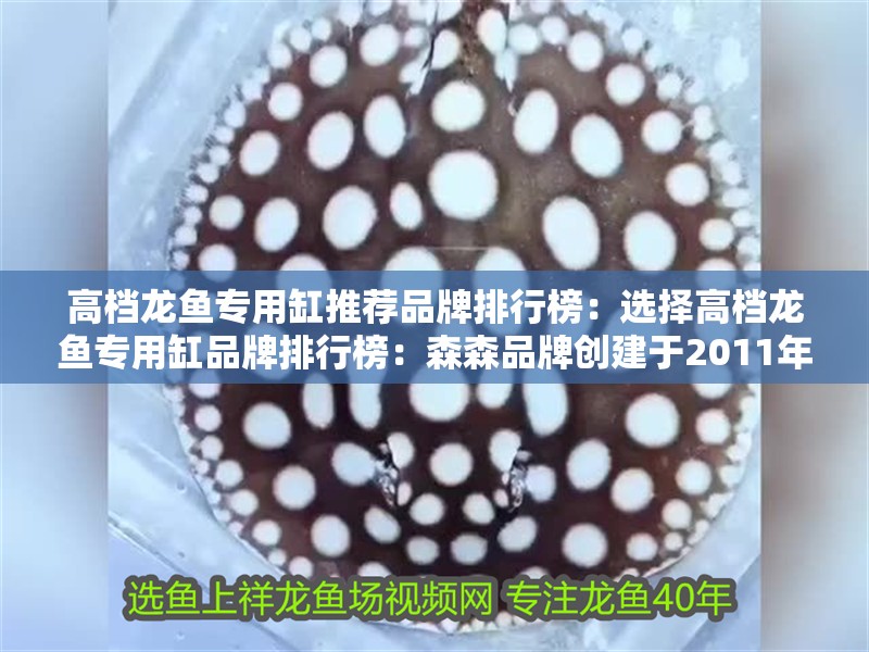 高檔龍魚專用缸推薦品牌排行榜：選擇高檔龍魚專用缸品牌排行榜：森森品牌創建于2011年