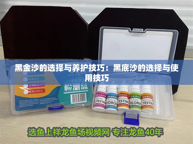 黑金沙的選擇與養護技巧：黑底沙的選擇與使用技巧 黑金沙的選擇與養護技巧：黑底沙的選擇與使用技巧 魚缸百科
