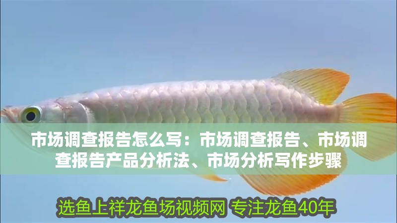 市場調查報告怎么寫：市場調查報告、市場調查報告產品分析法、市場分析寫作步驟