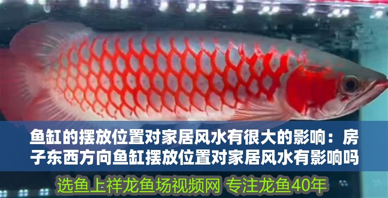 魚(yú)缸的擺放位置對(duì)家居風(fēng)水有很大的影響：房子?xùn)|西方向魚(yú)缸擺放位置對(duì)家居風(fēng)水有影響嗎