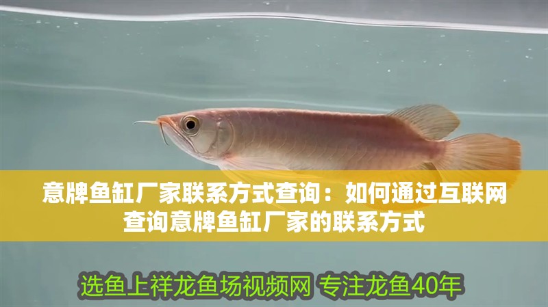 意牌魚缸廠家聯系方式查詢：如何通過互聯網查詢意牌魚缸廠家的聯系方式