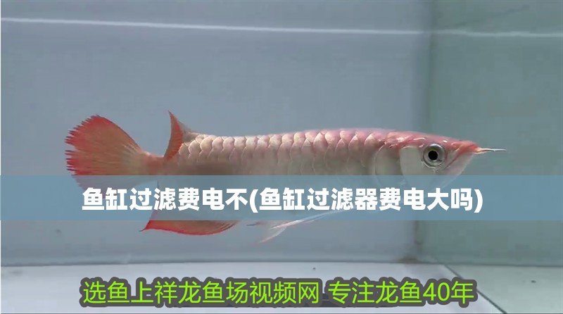魚缸過濾費(fèi)電不(魚缸過濾器費(fèi)電大嗎)