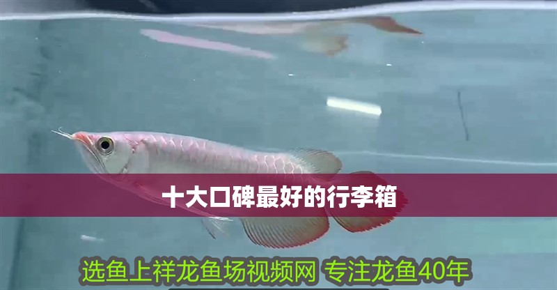 十大口碑最好的行李箱