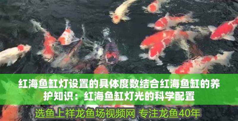 紅海魚缸燈設置的具體度數結合紅海魚缸的養護知識：紅海魚缸燈光的科學配置