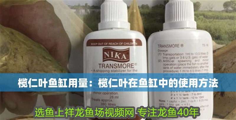 欖仁葉魚缸用量：欖仁葉在魚缸中的使用方法