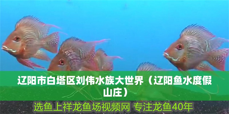 遼陽市白塔區劉偉水族大世界（遼陽魚水度假山莊）
