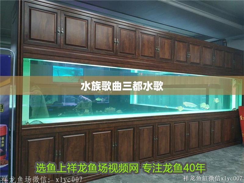 水族歌曲三都水歌