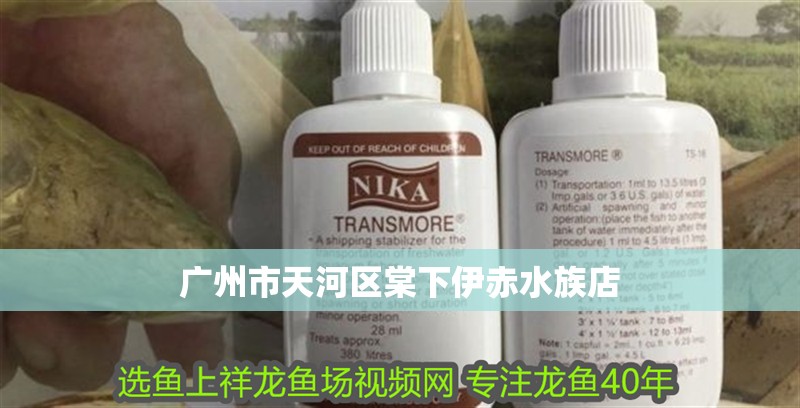 廣州市天河區棠下伊赤水族店